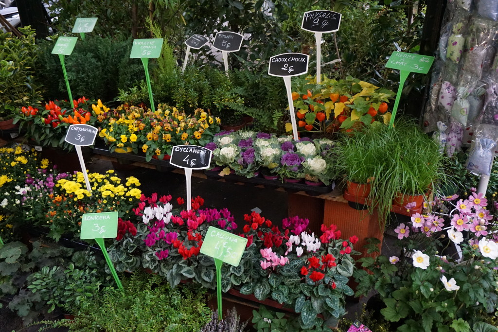 Paris Flower Market