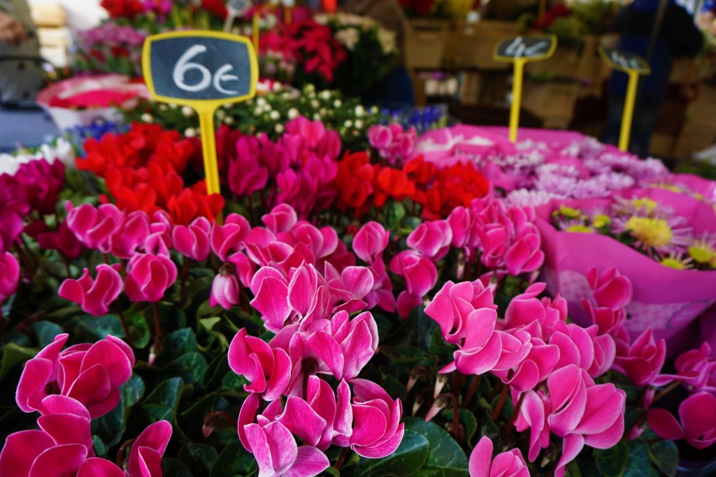 Paris market