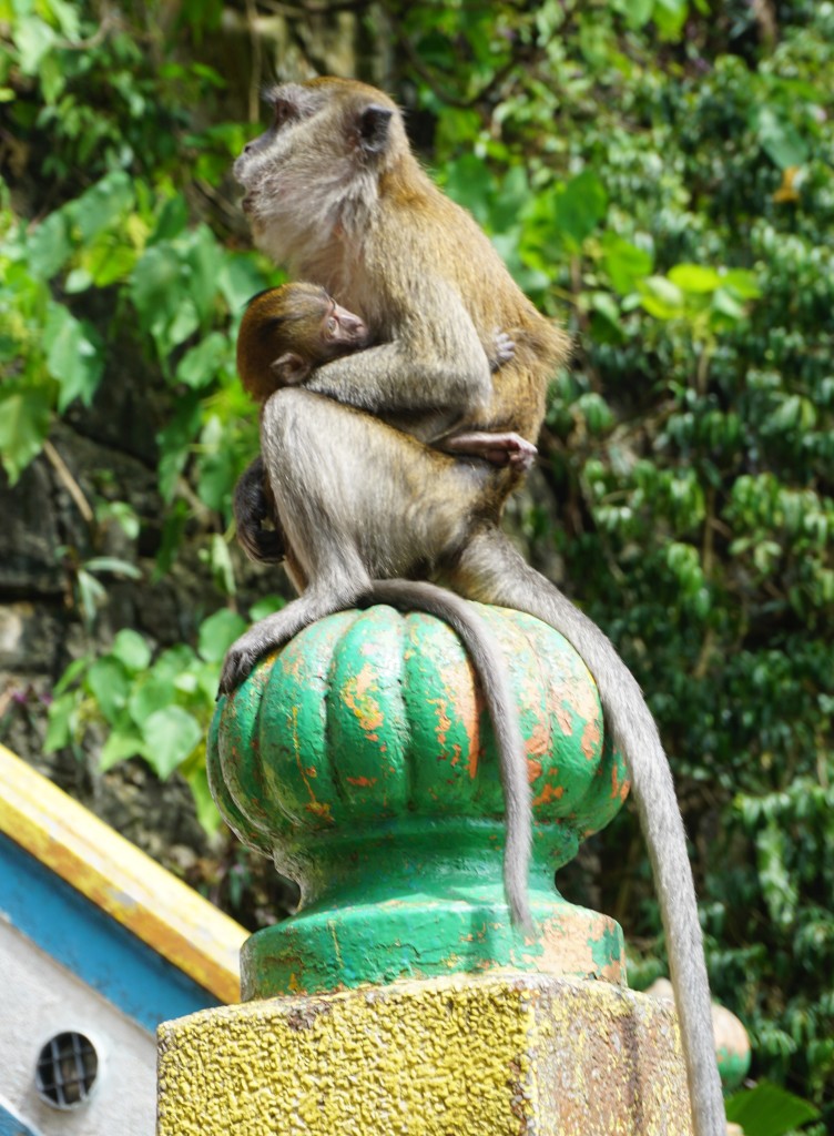 Kuala Lumpur