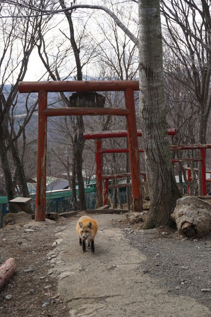 Shiroishi, Japan