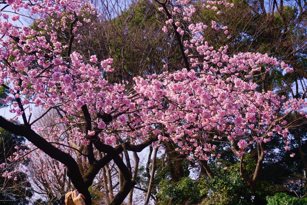 Tokyo