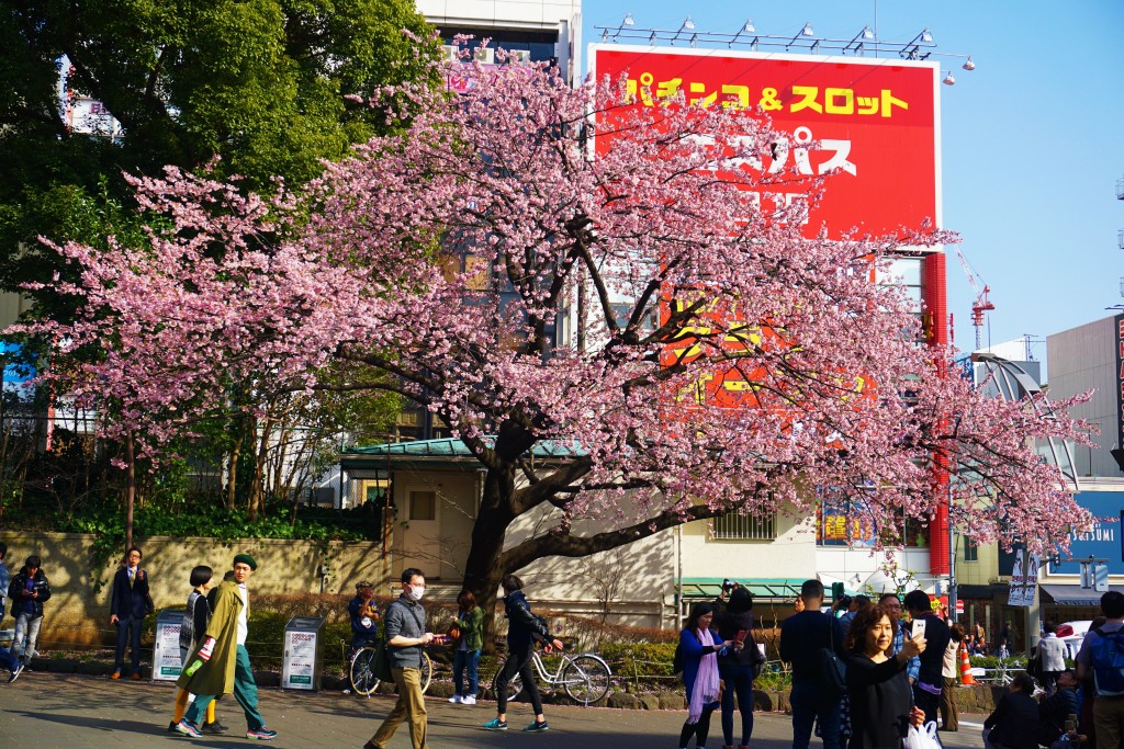 Tokyo