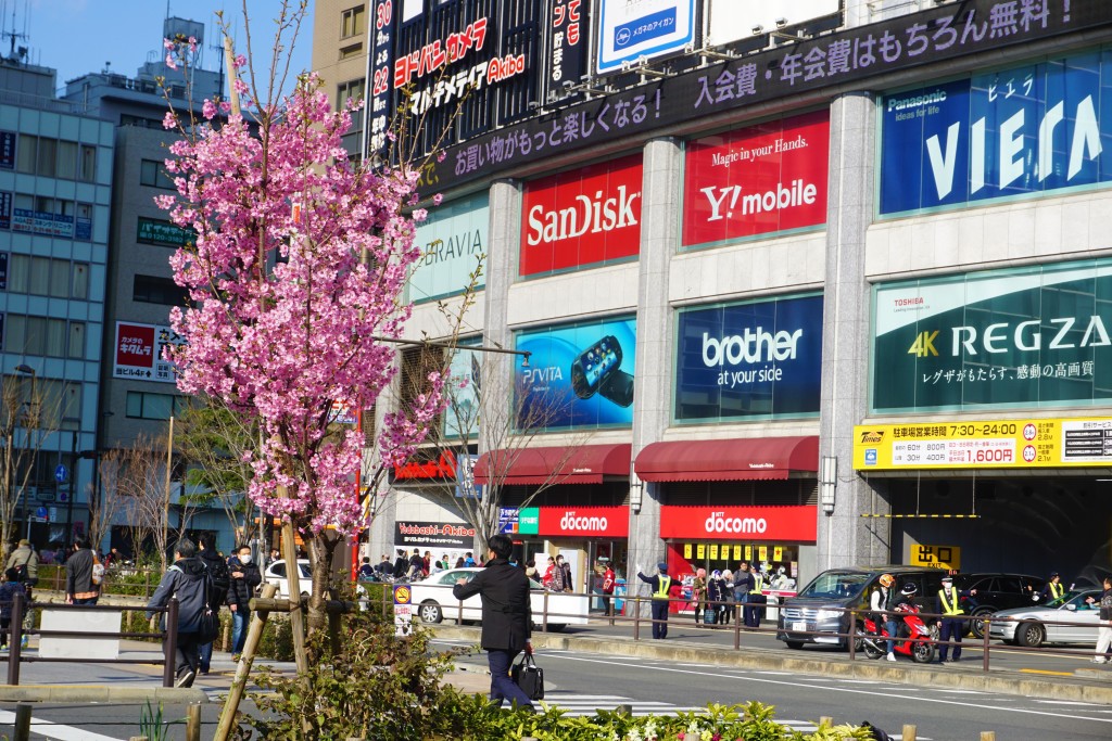 Akihabara, Japan