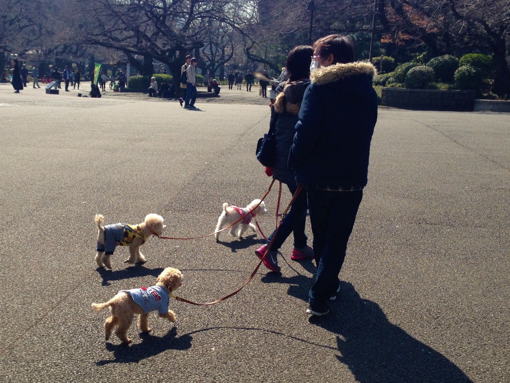 Tokyo