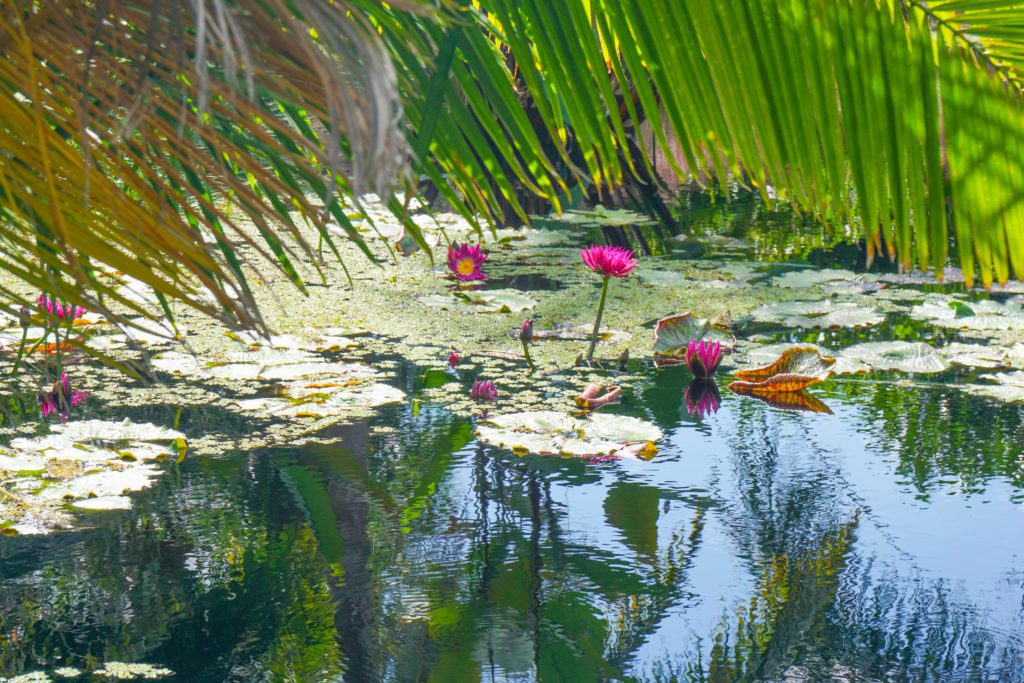 Naples, Florida