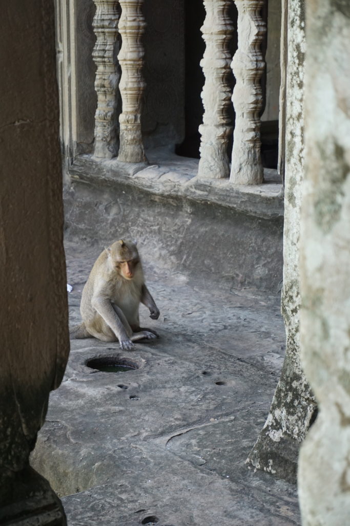 Siem Reap, Cambodia