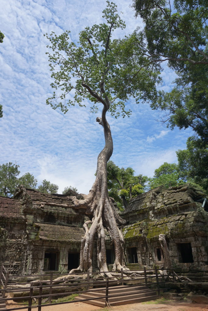 Siem Reap, Cambodia