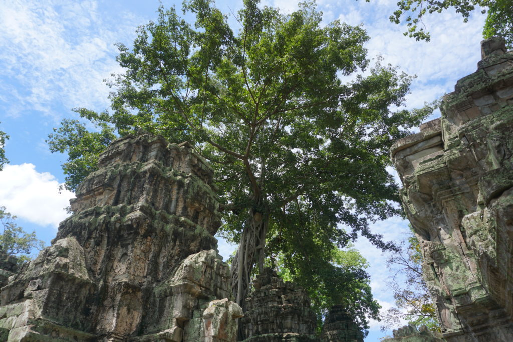 Siem Reap, Cambodia