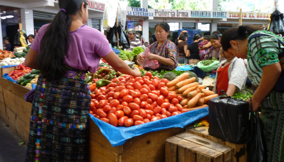 Family Travel Guatemala