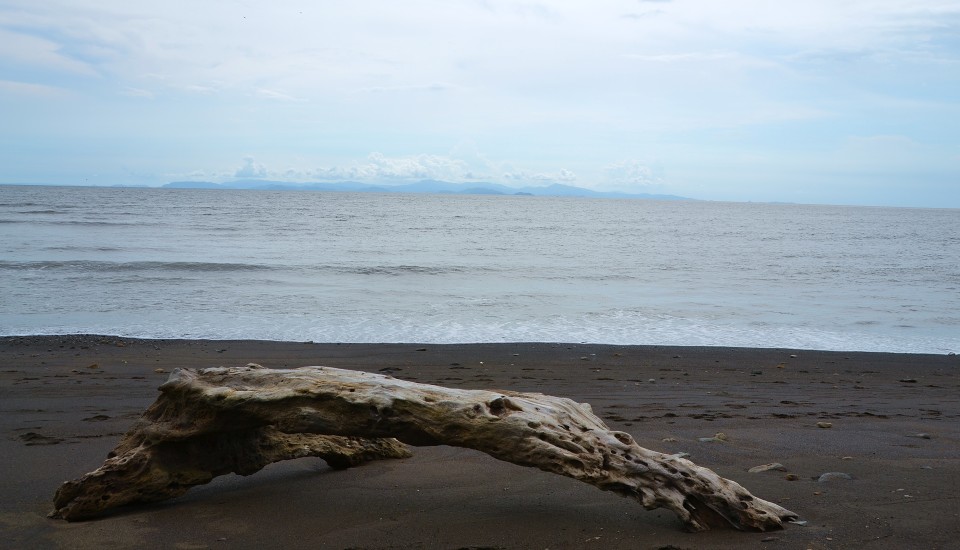 Playa Tarcoles