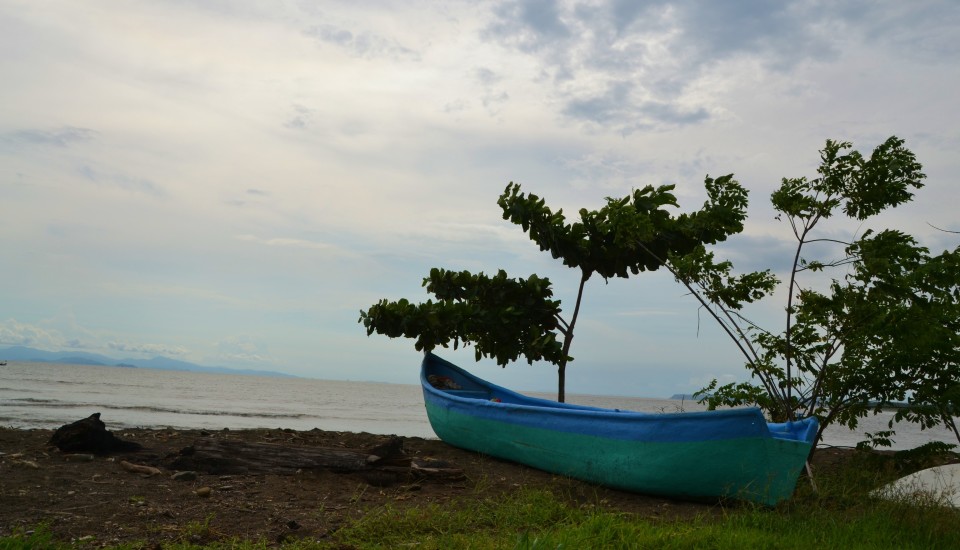 Playa Tarcoles