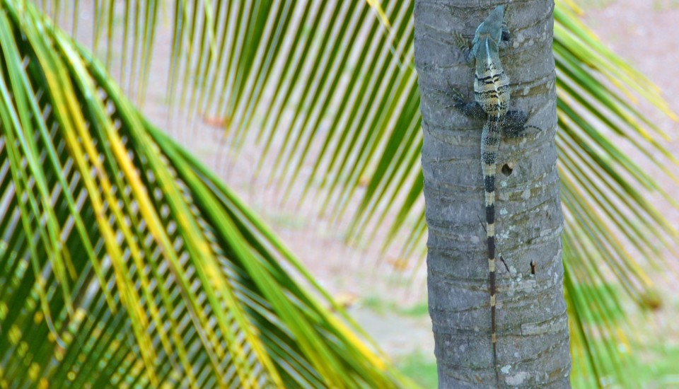 Costa Rica