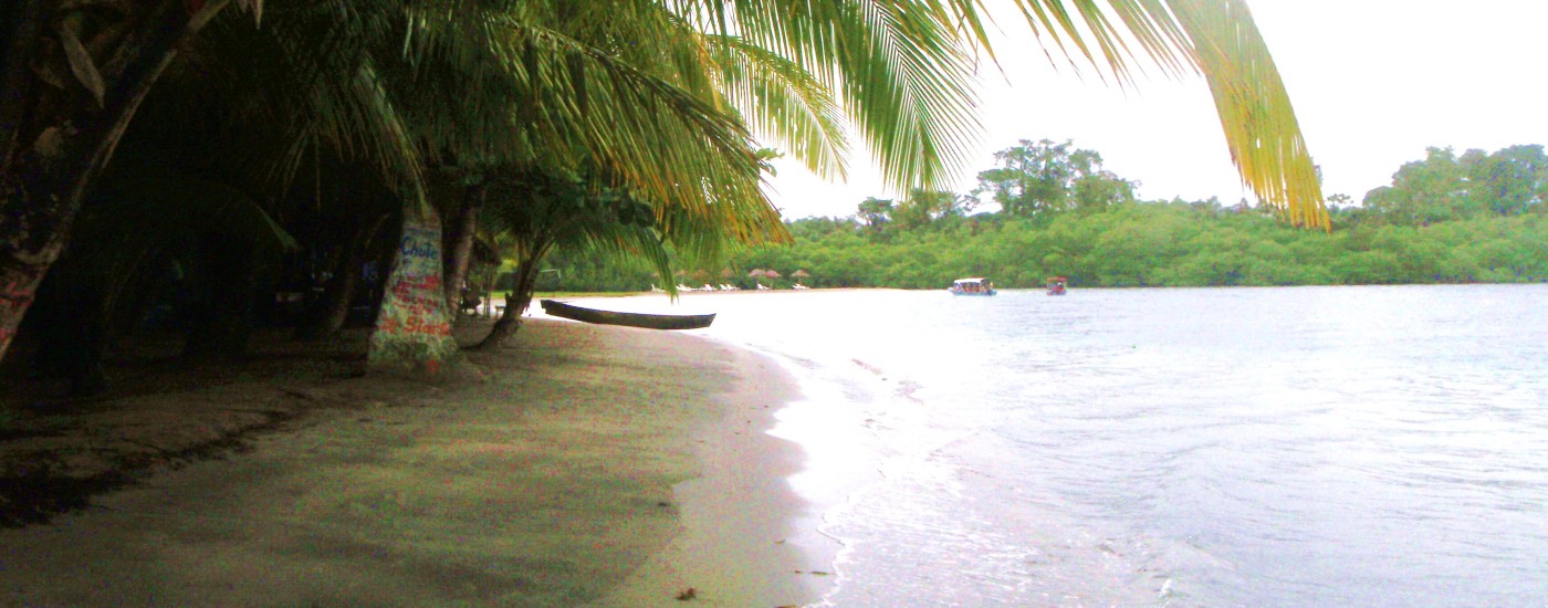 Starfish beach