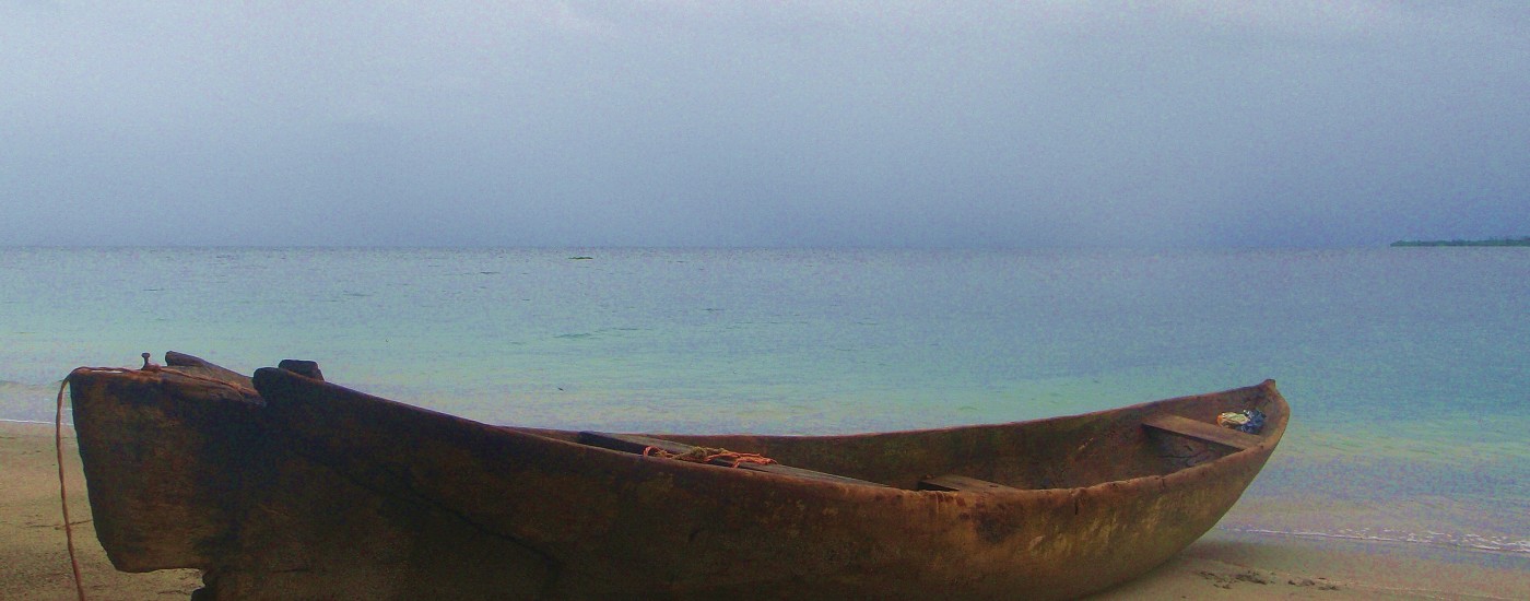 starfish beach