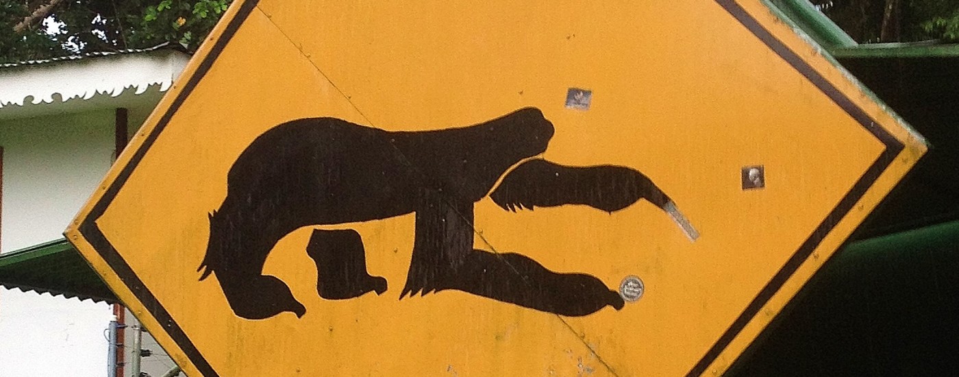 sloth crossing