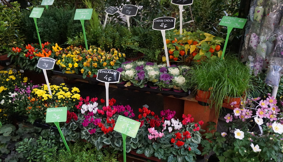 Paris Flower Market