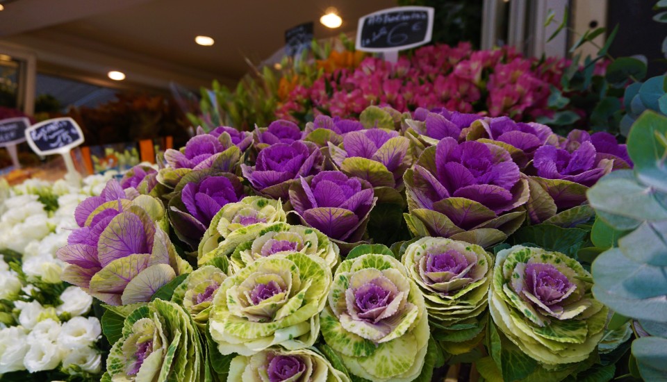 Paris markets